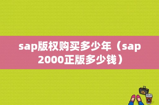 sap版权购买多少年（sap2000正版多少钱）-图1