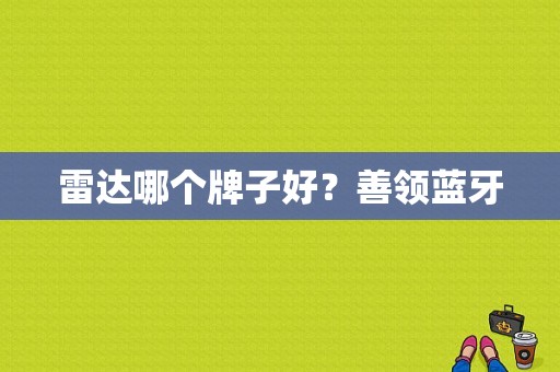 雷达哪个牌子好？善领蓝牙