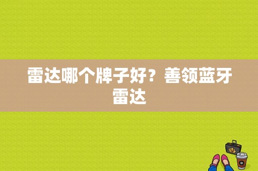 雷达哪个牌子好？善领蓝牙雷达