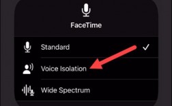 国行facetime没有音频（国行iphone开启facetime audio）