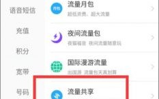 怎么查询手机使用多少流量（手机怎么查使用了多少流量）