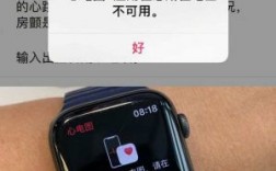 苹果手表国行支持心电图（苹果手表国行心电图什么时候可以用）