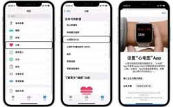 国行watch6怎么开启心电图（国行apple watch 6 如何激活心电图）