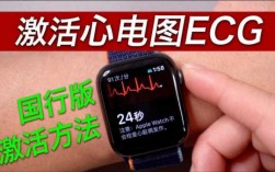 国行怎么激活ECG心电图（国内如何激活ecg）