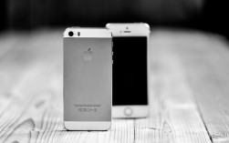 iPhone6国行无指纹（iphone6s无指纹什么意思）