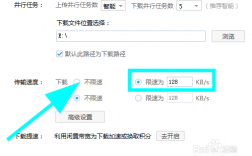 限制网速上传填多少（限制网速是限制下载速度还是上传速度）