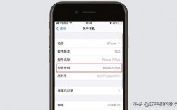 iphone怎么查多少g的（苹果手机怎么查看多少g的）