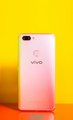 vivox20有多少款（vivo x20有几个型号）-图3