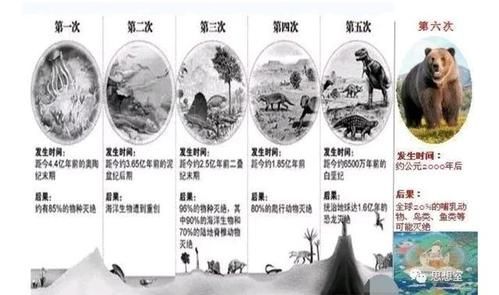 平均每年有多少生物灭绝（地球每年有多少生物灭绝）-图1