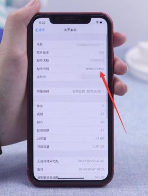 iphone怎么查多少g的（苹果手机怎么查看多少g的）-图2