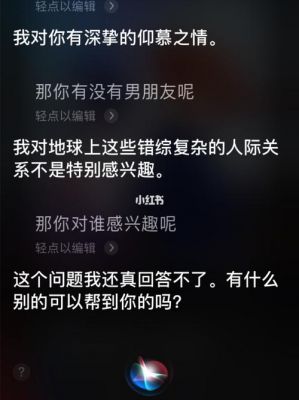 有多少人和siri聊天（siri和siri聊天）-图1